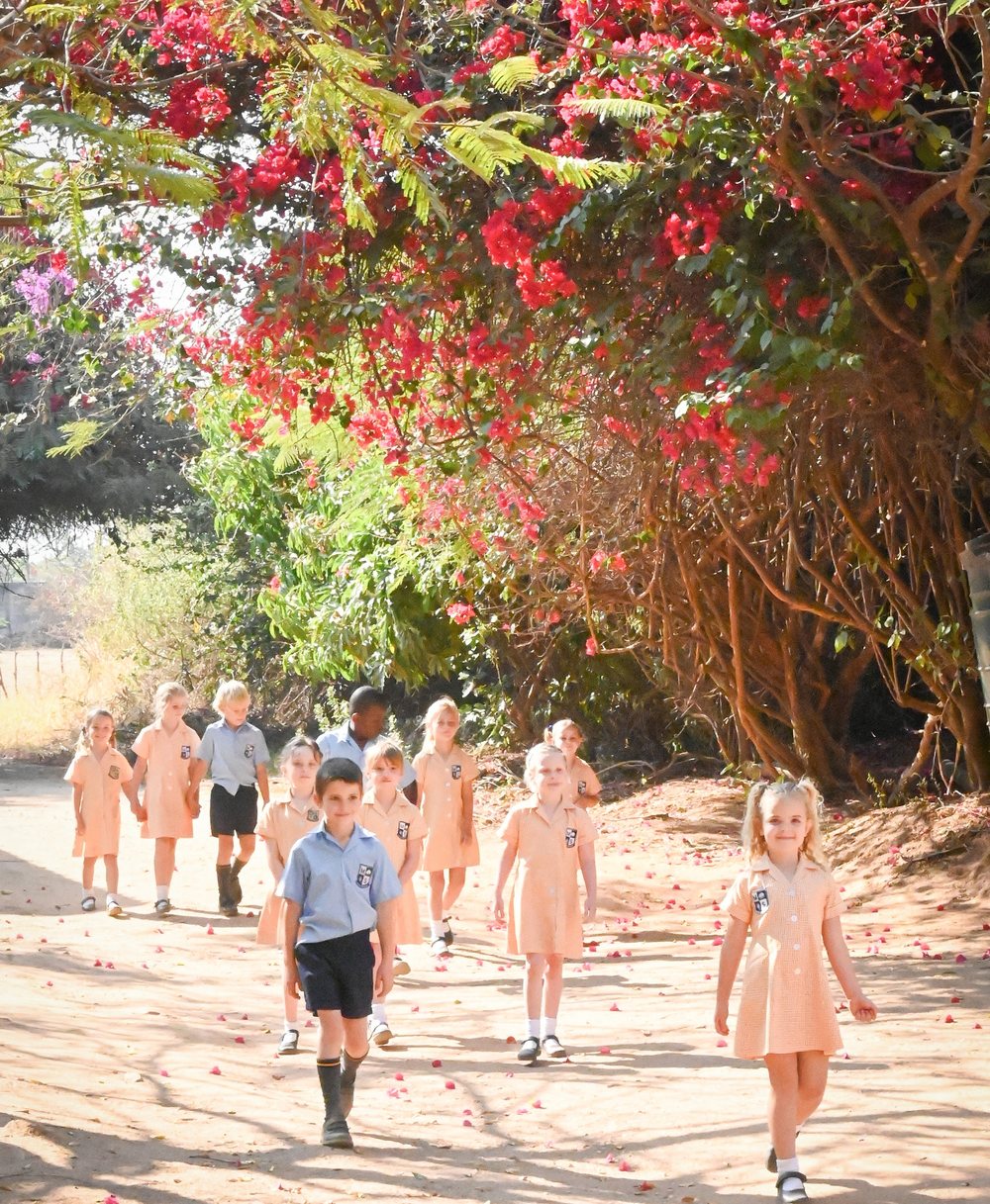 Children in Musikili uniform walking to class under the flamboyant trees
